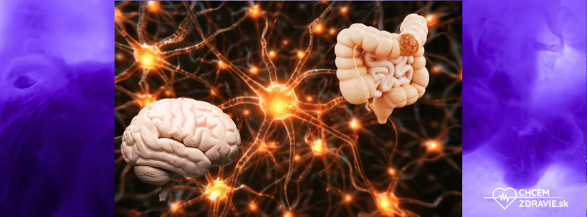Ako súvisí črevo s úzkosťou, náladou a psychikou