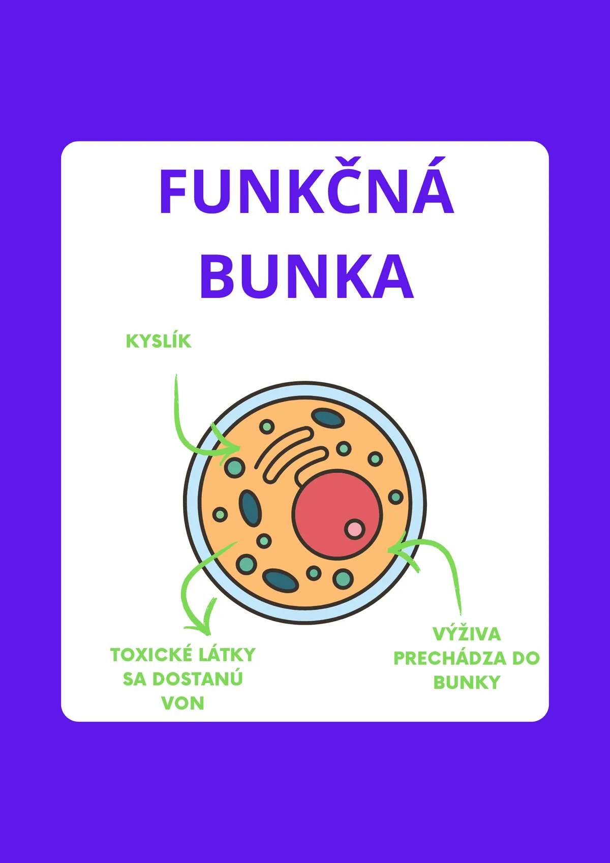 Funkčná bunka športovca ako základ energie a výkonu